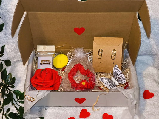 Coffret Bijoux Acier Inoxydable Hypoallergénique