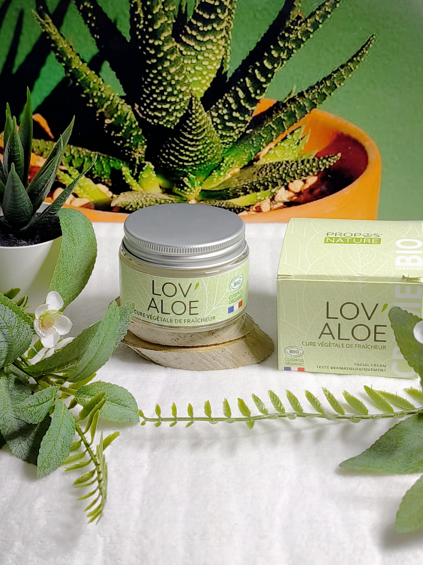 Crème visage A L'ALOE VERA BIO